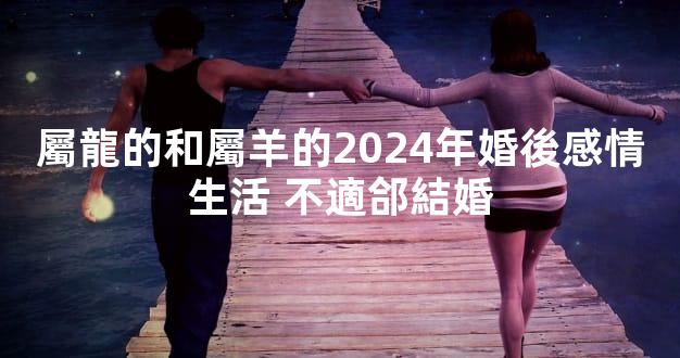 屬龍的和屬羊的2024年婚後感情生活 不適郃結婚